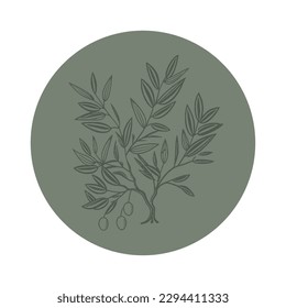 Plant olive branches isolated on white background sticker, leaves, olives, vector hand drawn illustration. Italian cuisine. Olive plant	
