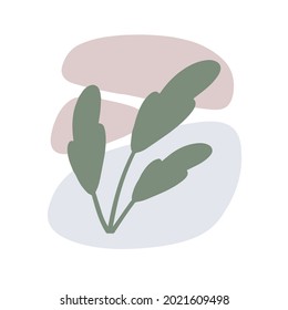 Planta sobre el fondo de las manchas de color. Rama botánica gris y patrón abstracto geométrico púrpura en un estilo minimalista. Objeto Doodle