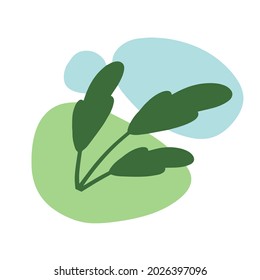 Plant on background of colored spots. Green botanical branch and blue geometric abstract pattern in a minimalist style. Doodle object