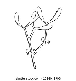 Plant on a background. 
Realistic, hand-drawn illustration on a green background. Can be used for postcards, invitations, advertising, web.