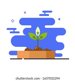 Plant on box. Illustration of plant. 