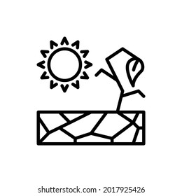 Plant on drought thin line icon: dried flower under the sun without water. Desert. Natural disaster, catastrophe. Vector illustration