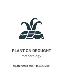 Plant on drought vector icon on white background. Flat vector plant on drought icon symbol sign from modern meteorology collection for mobile concept and web apps design.