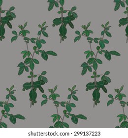 Plant on gray