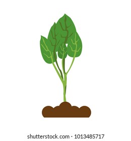 Plant on ground symbol