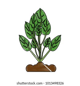 Plant on ground symbol