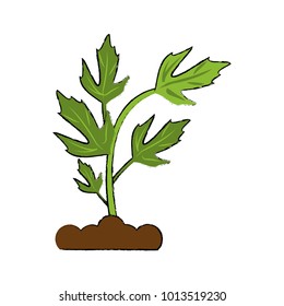 Plant on ground symbol
