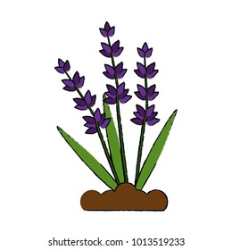 Plant on ground symbol