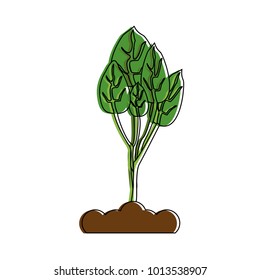 Plant on ground symbol