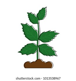 Plant on ground symbol