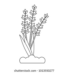 Plant on ground symbol