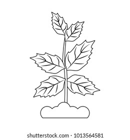 Plant ground symbol