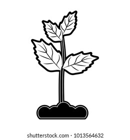 Plant on ground symbol
