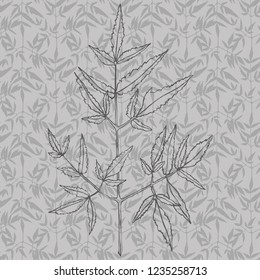 plant on a patterned background, drawing for fabric and paper, contour drawing of plants, leaf.