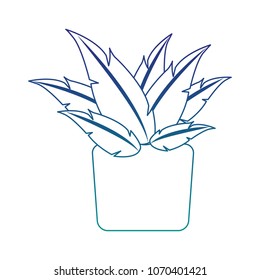 Plant on pot blue lines