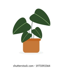 Plant On Pot Image Vector.