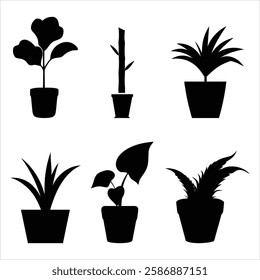 Plant on Pot Silhouette Set Black Silhouette Vector Illustration Bundle for Digital Design