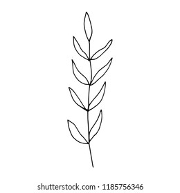 Plant On Stem Sketch Isolated On Stock Vector (Royalty Free) 1185756346 ...