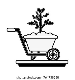 Plant on wheelbarrow