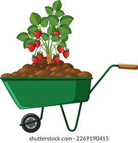 Plant on a wheelbarrow isolated illustration