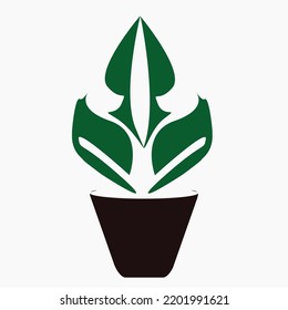 Plant onthe pot for illustration background template
