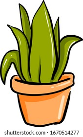 Pflanzen in orangefarbenem Topf, Illustration, Vektorillustration auf weißem Hintergrund.