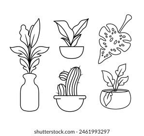 Plant outline drawing vector set, succulents in pots. Indoor exotic flowers with stems and leaves. Monstera, Plants line art icon design template vector illustration