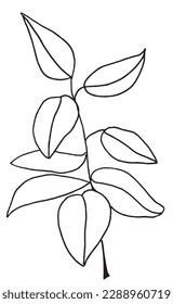 Plant outline illustration vector image. Hand drawn plants sketch image artwork. Simple original logo icon from pen drawing sketch.