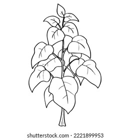 plant outline vector illustration,isolated on white background,top view