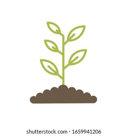 Plant over earth flat style icon design of Floral nature garden ornament botany decoration beauty and flora theme Vector illustration