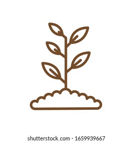 Plant over earth line style icon design of Floral nature garden ornament botany decoration beauty and flora theme Vector illustration