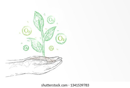 Plant With Oxygen On Hand Form Lines And Triangles, Point Connecting Network Background. Ecology Concept