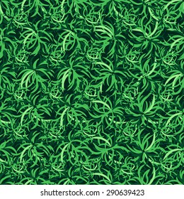plant pattern