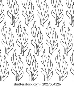 Plant pattern. Contour drawing of a stylized black plant on a white background. Vector illustration.