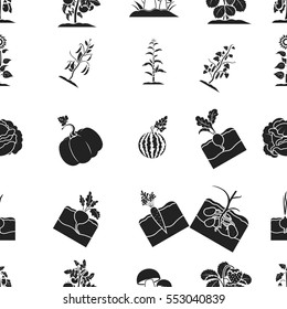 Plant pattern icons in black style. Big collection of plant vector symbol stock illustration