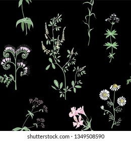 Plant pattern meadow flowers black background. Vector drawing.