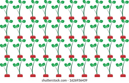 plant pattern in a pot with a white background. vector illustration