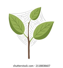 Plant pests. Plant infested with spider mites. Tetranychidae. Vector illustration