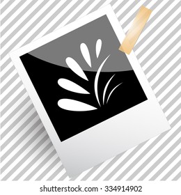 plant. Photoframe. Vector icon.