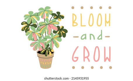 Plant phrase. Trendy house plant and motivation quote bloom and grow. Hand drawing print design. Home and stationery decor. Flat style in vector illustration. Isolated elements.