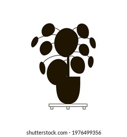 Plant pilea. Homeplant. Chinese money plant. Black silhouette.