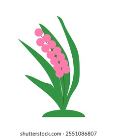 plant with pink flower on white background, 