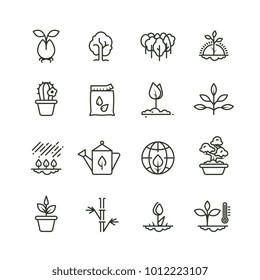 Plant, Planting And Seed Line Vector Icons. Sprout Growing Symbols. Illustration Of Plant And Sprout, Growth Tree