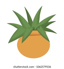 Plant with pot