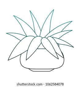 Plant with pot