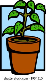plant in a pot