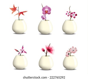 plant in pot