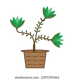 Una planta en una olla con una planta en ella