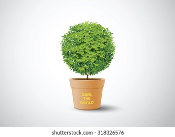 plant in the pot