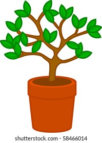 plant in a pot